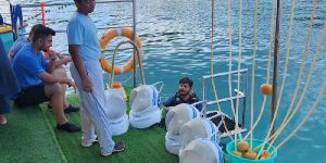 Tour Packages Services