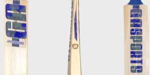 GA Stunner English Willow Cricket Bat