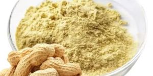 40 Mesh Groundnut Shell Powder