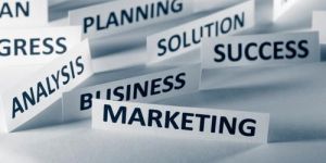 Business Consultancy Services