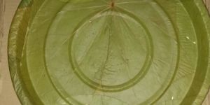 Green Siali Leaves Plates
