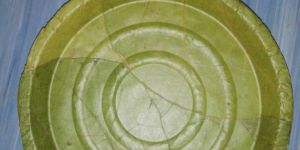 Round Sal Leaf Plate