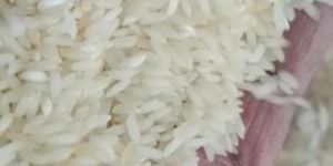 Sona Masoori Non Basmati Rice