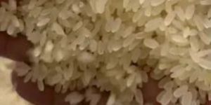 Swarna Parboiled Basmati Rice