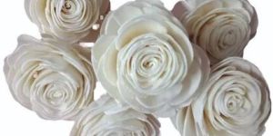 White Sola Wood Flower