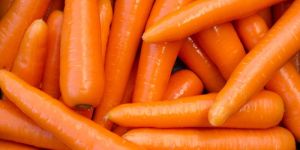 Fresh Organic Carrot