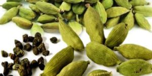 Cardamom