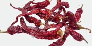 Syngenta 2043 Dry Red Chilli