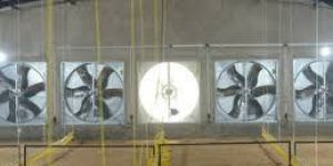 Poultry Exhaust Fan