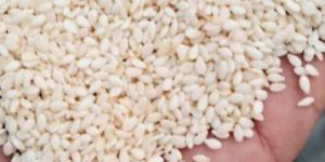 Hulled Sesame Seeds
