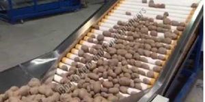 Potato Sorting Grading Machine