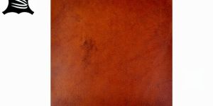 Aniline Yellowish Brown Finished Leather
