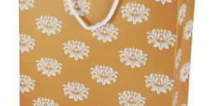 Printed Duplex Paper Bag