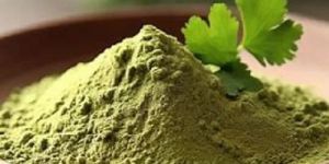 Spray Dried Coriander Powder