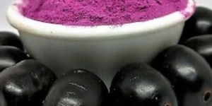 Spray Dried Jamun Powder