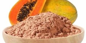 Spray Dried Papaya Powder