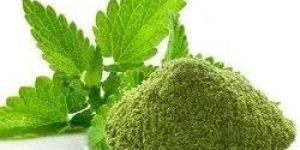 Dried Mint Leaf Powder