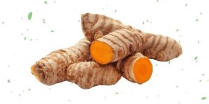 Fresh Turmeric