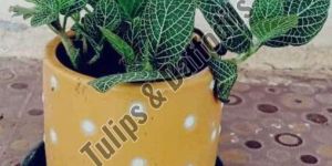 Ceramic Planter