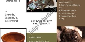 Planter Pots