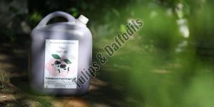 Liquid Bio Fertilizer 10Ltrs