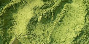 Natural Indigo Leave Powder