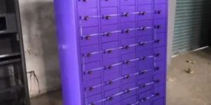 Mobile Storage Locker