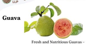Fresh Guava
