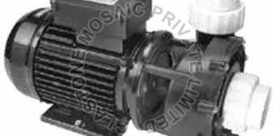 WP Series Swimming Pool Pump