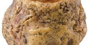 Exo Terra Snake Bowl