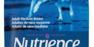 Brown Rice Lamb Meal Dog Food