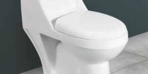 720mmx395mmX685mm One Piece Closet Toilet