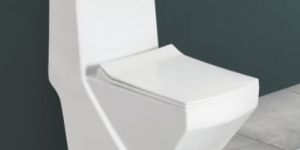 670mmx360mmX755mm One Piece Closet Toilet