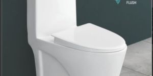 695mmx225mmX300mm One Piece Closet Toilet