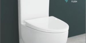 695mmx405mmX740mm One Piece Closet Toilet