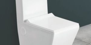 720mmx376mmX794mm One Piece Closet Toilet