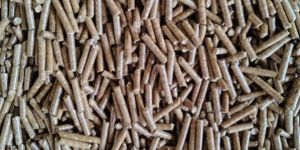 Biomass Pellet