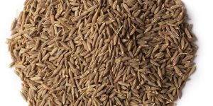 Dried Cumin Seeds