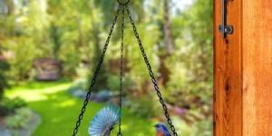 Metal Bird Feeder