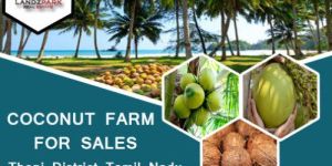 Agriculture Land Sale