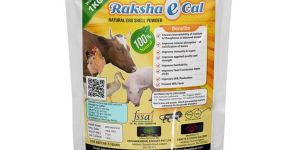 Natural Egg Shell Powder for Poultry Farm