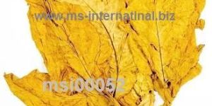 Golden Virginia Leaf