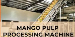 Mango Pulp Processing Plant