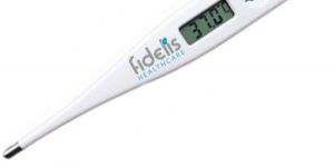Digital Fixed Thermometer