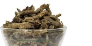 Raw Kutki Root