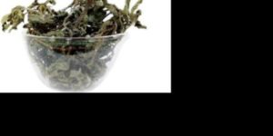 Karisalanganni / False Daicy (Raw)