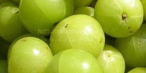 Nelli Powder / Indian Gooseberry Powder