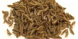 Seeraham / Cumin Powder