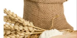 Wheat Flour