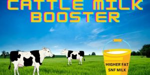 Doodh Vardhan Cattle Milk Booster